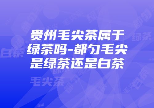 贵州毛尖茶属于绿茶吗-都匀毛尖是绿茶还是白茶