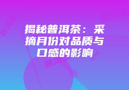 揭秘普洱茶：采摘月份对品质与口感的影响