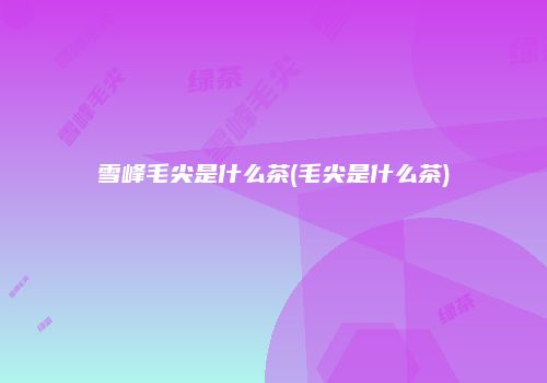 雪峰毛尖是什么茶(毛尖是什么茶)