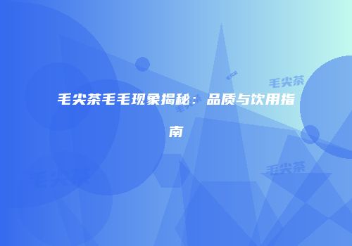 毛尖茶毛毛现象揭秘：品质与饮用指南