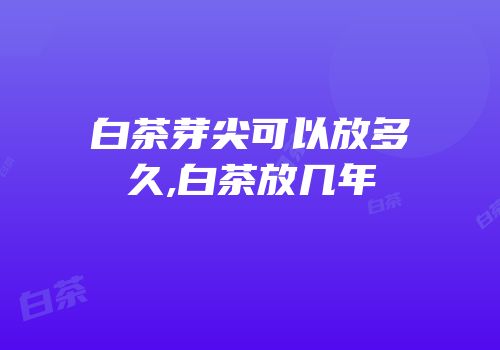 白茶芽尖可以放多久,白茶放几年