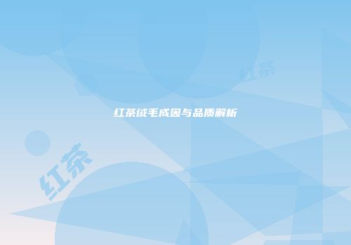 红茶绒毛成因与品质解析