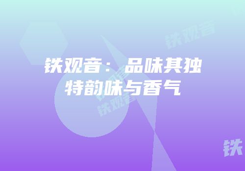 铁观音：品味其独特韵味与香气