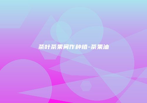 茶叶茶果间作种植-茶果油