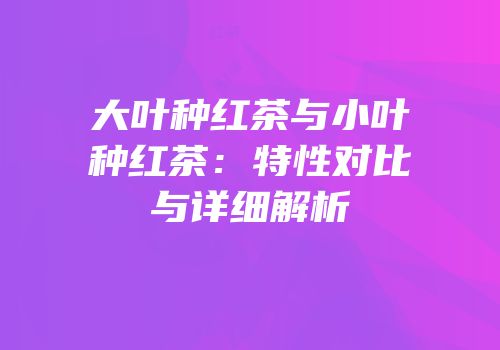 大叶种红茶与小叶种红茶：特性对比与详细解析
