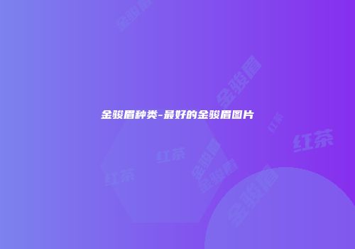 金骏眉种类-最好的金骏眉图片