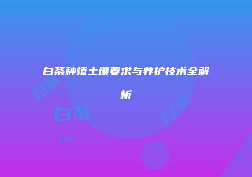 白茶种植土壤要求与养护技术全解析