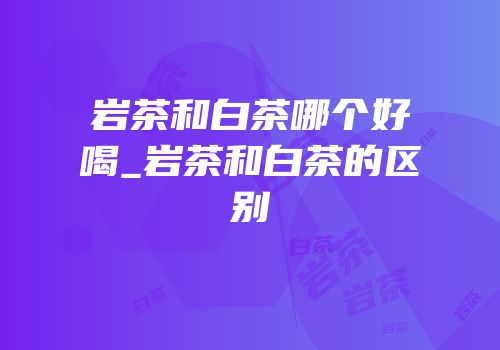 岩茶和白茶哪个好喝_岩茶和白茶的区别