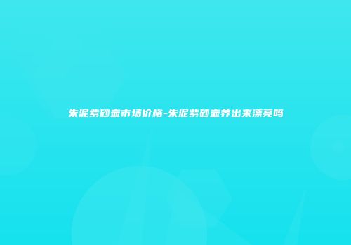 朱泥紫砂壶市场价格-朱泥紫砂壶养出来漂亮吗