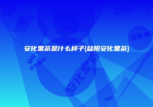 安化黑茶是什么样子(益阳安化黑茶)