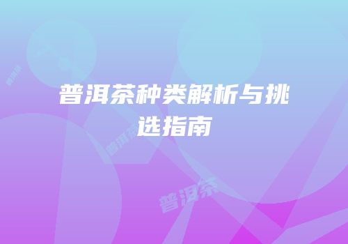 普洱茶种类解析与挑选指南