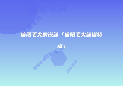 信阳毛尖的滋味「信阳毛尖味道特点」