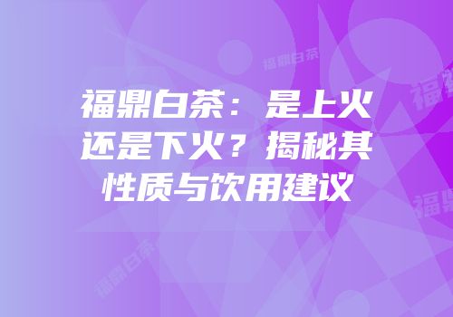 福鼎白茶：是上火还是下火？揭秘其性质与饮用建议