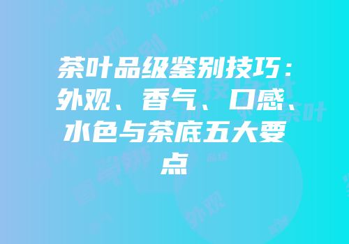 茶叶品级鉴别技巧：外观、香气、口感、水色与茶底五大要点