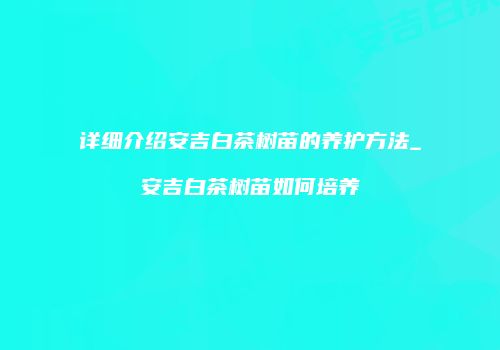 详细介绍安吉白茶树苗的养护方法_安吉白茶树苗如何培养