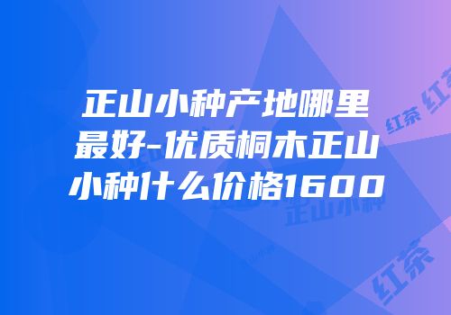 正山小种产地哪里最好-优质桐木正山小种什么价格1600