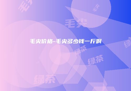 毛尖价格-毛尖多少钱一斤啊