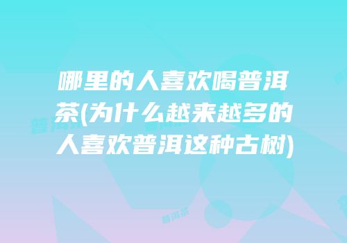 哪里的人喜欢喝普洱茶(为什么越来越多的人喜欢普洱这种古树)