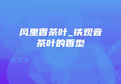 风里香茶叶_铁观音茶叶的香型