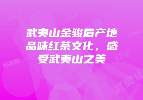 武夷山金骏眉产地品味红茶文化，感受武夷山之美