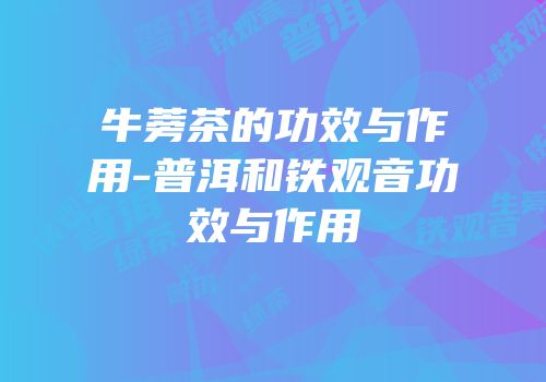牛蒡茶的功效与作用-普洱和铁观音功效与作用