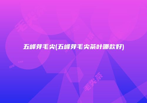 五峰芽毛尖(五峰芽毛尖茶叶哪款好)