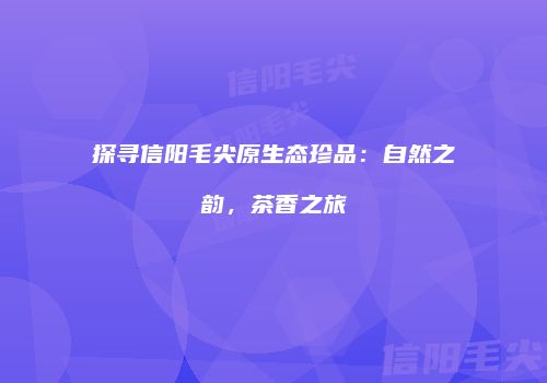 探寻信阳毛尖原生态珍品：自然之韵，茶香之旅