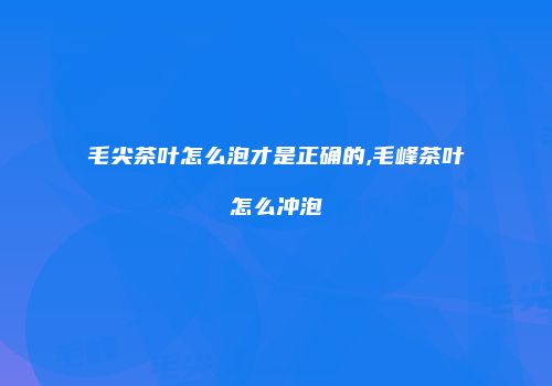 毛尖茶叶怎么泡才是正确的,毛峰茶叶怎么冲泡