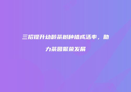 三招提升幼龄茶树种植成活率，助力茶园繁荣发展