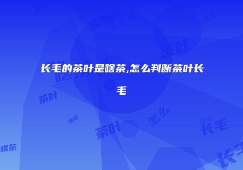 长毛的茶叶是啥茶,怎么判断茶叶长毛