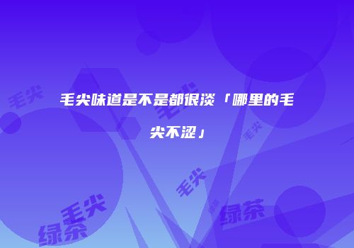 毛尖味道是不是都很淡「哪里的毛尖不涩」