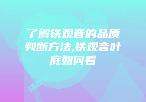 了解铁观音的品质判断方法,铁观音叶底如何看