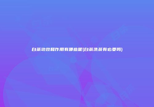 白茶功效和作用有哪些呢(白茶洗茶有必要吗)
