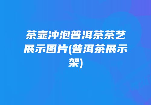 茶壶冲泡普洱茶茶艺展示图片(普洱茶展示架)