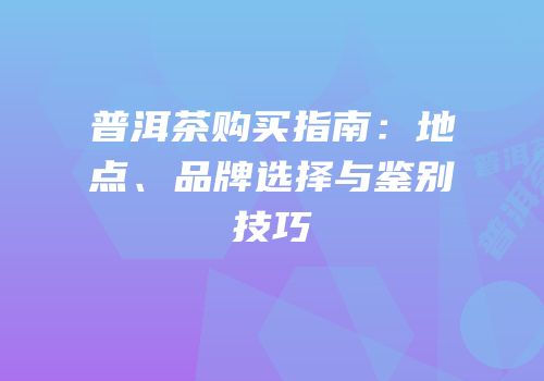 普洱茶购买指南：地点、品牌选择与鉴别技巧