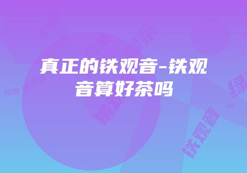 真正的铁观音-铁观音算好茶吗