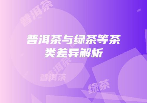 普洱茶与绿茶等茶类差异解析