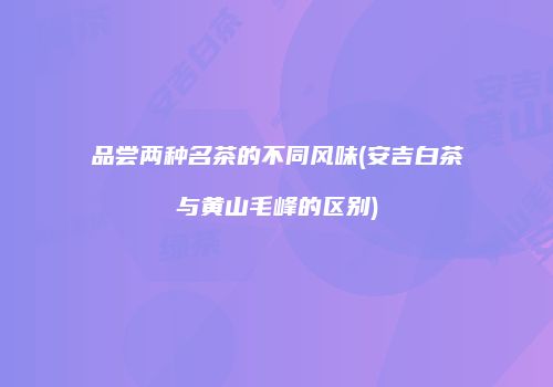 品尝两种名茶的不同风味(安吉白茶与黄山毛峰的区别)