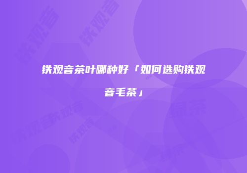 铁观音茶叶哪种好「如何选购铁观音毛茶」