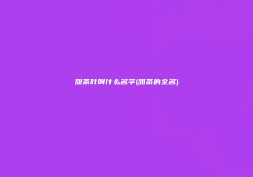 甜茶叶叫什么名字(甜茶的全名)