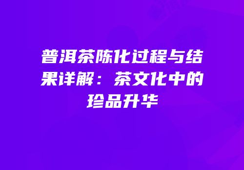 普洱茶陈化过程与结果详解：茶文化中的珍品升华