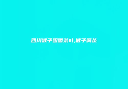四川猴子咀嚼茶叶,猴子喝茶