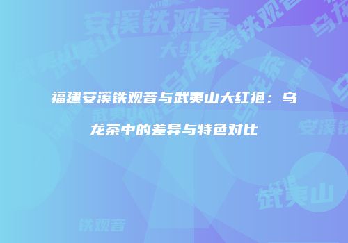 福建安溪铁观音与武夷山大红袍：乌龙茶中的差异与特色对比