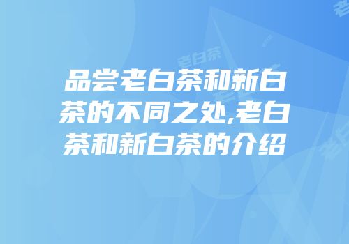 品尝老白茶和新白茶的不同之处,老白茶和新白茶的介绍