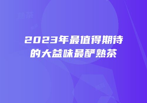 2023年最值得期待的大益味最酽熟茶