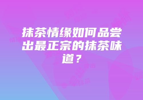 抹茶情缘如何品尝出最正宗的抹茶味道？