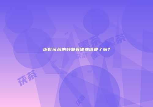 原叶茯茶的好处有哪些值得了解？