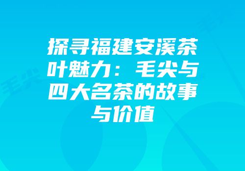 探寻福建安溪茶叶魅力：毛尖与四大名茶的故事与价值