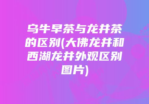 乌牛早茶与龙井茶的区别(大佛龙井和西湖龙井外观区别图片)