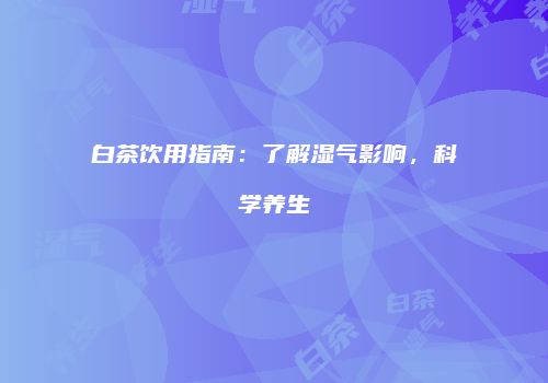白茶饮用指南：了解湿气影响，科学养生